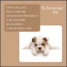 To Encourage You ****