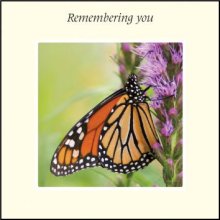 Remembering You ****