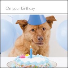 On Your Birthday (M) ****