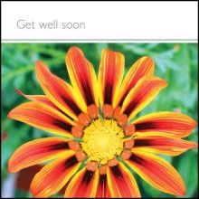 Get Well Soon ****