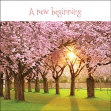 A New Beginning