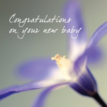 New Baby - Purple Flowers