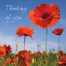 Thinking Of You (Poppy)