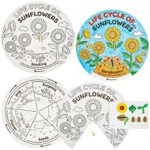 Sunflower Life Cycle Colour-In Sticker Wheels (Pack of 5)