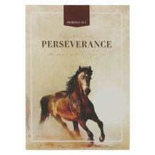 Notebook-Medium-Run with Perseverance