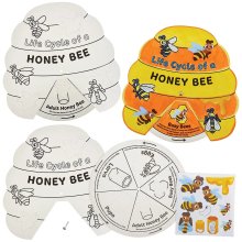 Honey Bee Life Cycle Colour-In Sticker Wheels (Pack of 4)