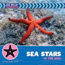 Sea Stars In The Wild