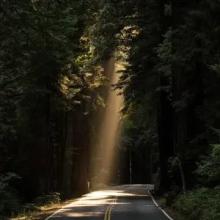 Peter's Downloadable File