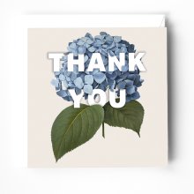 Thank you' greeting card with Hydrangea illustration. Blank inside.