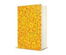 Mortal Instruments 5: City Of Lost Souls
