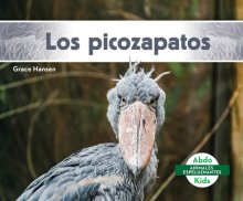 Los Picozapatos (shoebills)