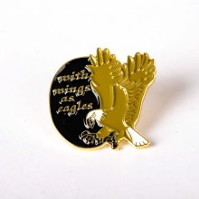 Lapel Pin Wings As Eagles Pack of 6