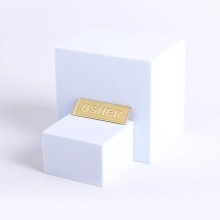 Badge Metal Usher Goldtone Pin