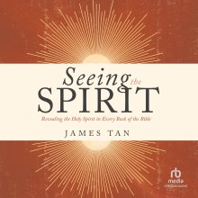 Seeing the Spirit