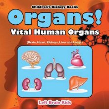 Organs! Vital Human Organs (brain, Heart, Kidneys, Liver And Lungs) - Children\'s Biology Books