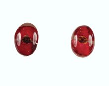 Rememberance Silver Poppy Oval Stud Earrings (Pe02)