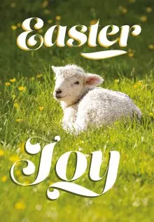Easter Joy Lamb Charity Easter Cards Pack of 5