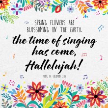 Time Of Singing Seeded Card