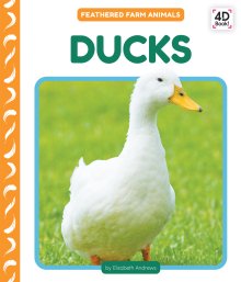 Ducks