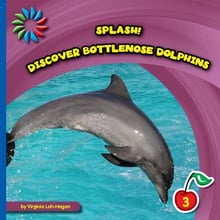 Discover Bottlenose Dolphins