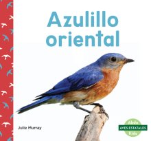 Azulillo Oriental (eastern Bluebirds)