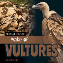 Wake Of Vultures