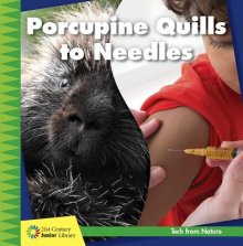 Porcupine Quills To Needles