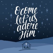 Adore Him - Christmas Card (Pack of 10)