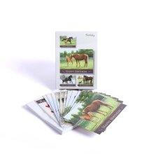 Peaceful Pastures Boxed Birthday Cards - Pack of 12