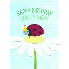 Ladybug Birthday