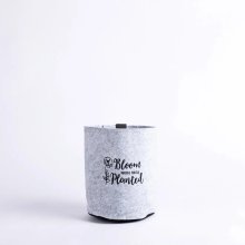 Grow Bag Bloom Grey - Velcro Back - 3.7litres