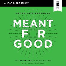 Meant for Good: Audio Bible Studies