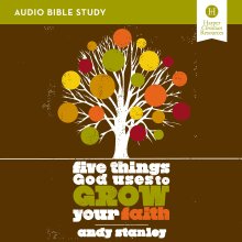 Five Things God Uses to Grow Your Faith Bible Study: Audio