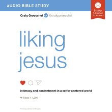 Liking Jesus Bible Study: Audio