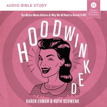 Hoodwinked Bible Study: Audio