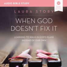 When God Doesn't Fix It Bible Study: Audio