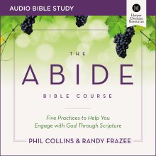 Abide Bible Course Study: Audio