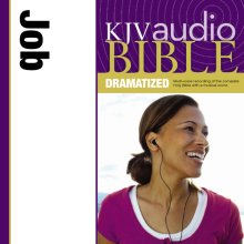 Dramatized Audio Bible - King James Version, KJV: (17) Job