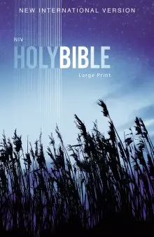 NIV, Outreach Bible, Large Print
