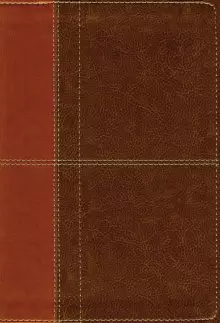 NIV, Life Application Study Bible, Third Edition, Leathersoft, Brown, Red Letter, Thumb Indexed