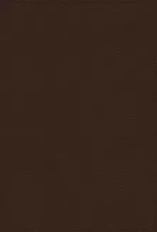 NRSVue, Holy Bible with Apocrypha, Leathersoft, Brown, Comfort Print