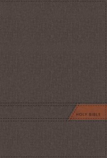 NIV, Thinline Bible, Large Print, Cloth Flexcover, Gray, Red Letter, Comfort Print