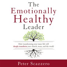 Emotionally Healthy Leader