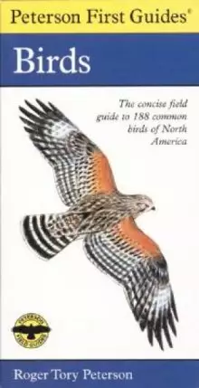 Birds : The Concise Field Guide To 188 Common Birds Of North America
