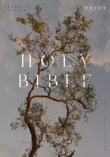 NRSV Catholic Edition Bible, Eucalyptus Hardcover (Global Cover Series)