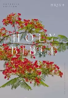 NRSV Catholic Edition Bible, Royal Poinciana Paperback (Global Cover Series)