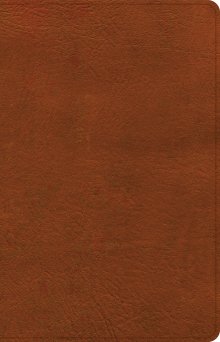 NASB Large Print Thinline Bible, Burnt Sienna LeatherTouch