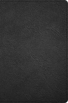 KJV Personal Size Giant Print Bible, Black Genuine Leather