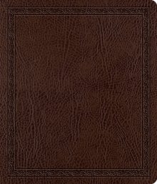 ESV Journaling Bible