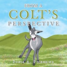 From A Colt\'s Perspective